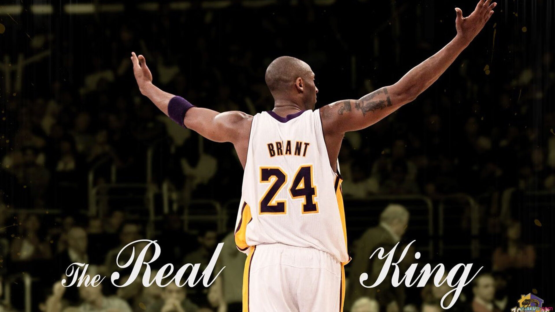 篮球赛事票房收入持续增长，去年上映的篮球电影